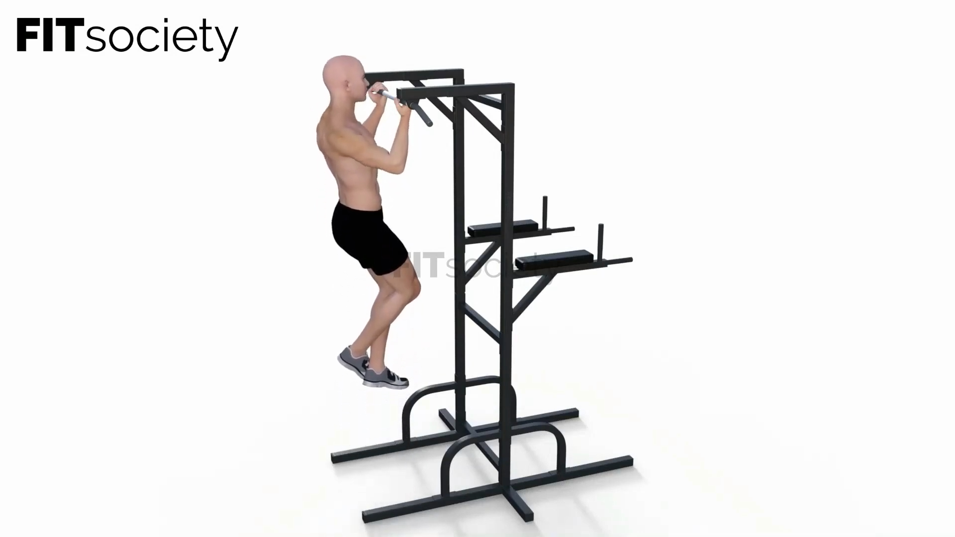 Reverse Pull-Ups