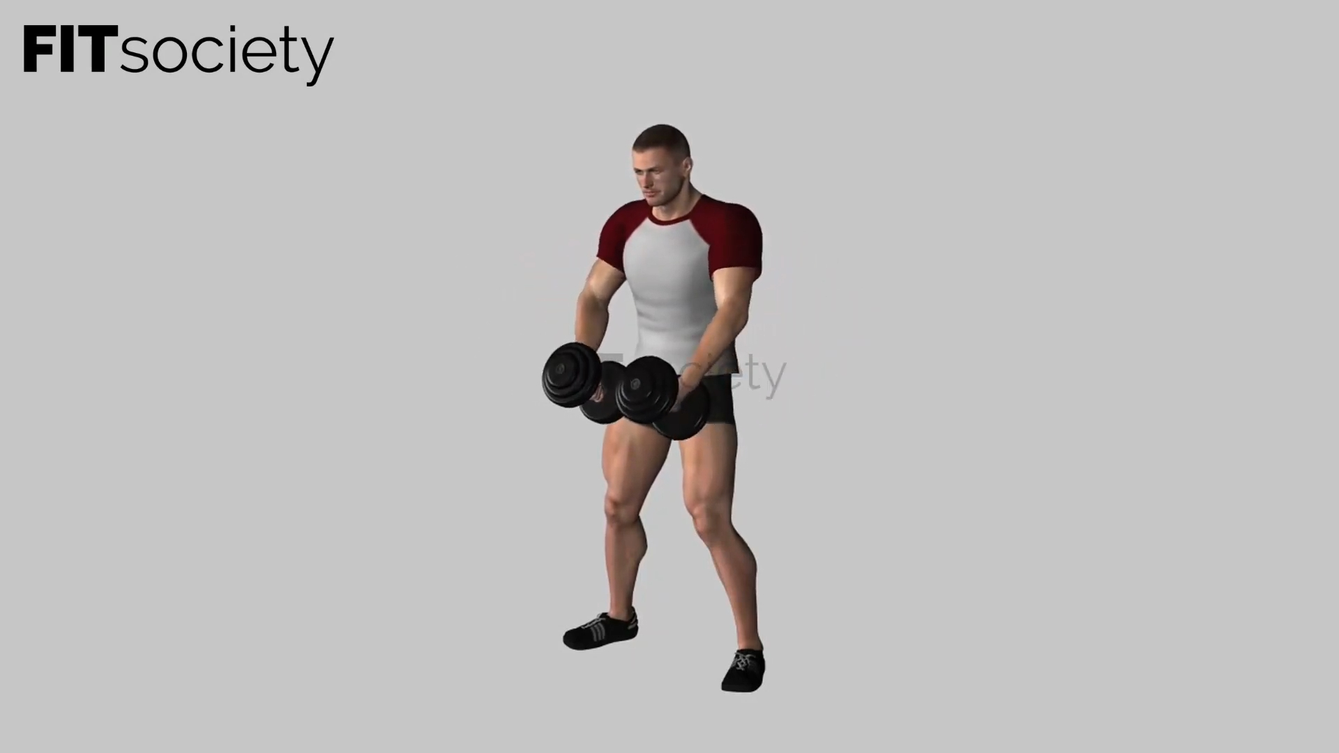 Standing Dumbbell Lateral Raise