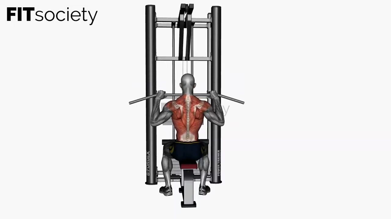 Close-Grip Lat Pulldown