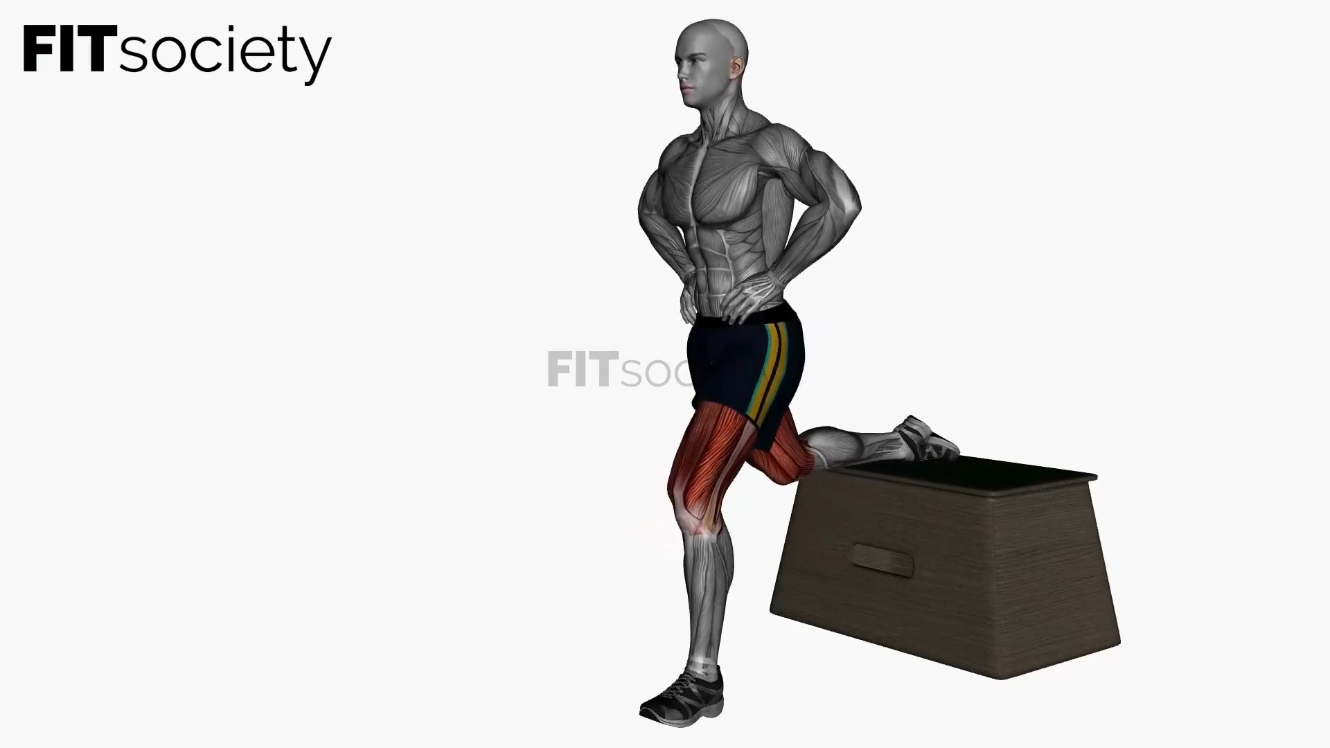Bulgarian Split Squat Bodyweight Left
