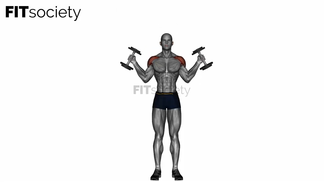 Dumbbell W Press