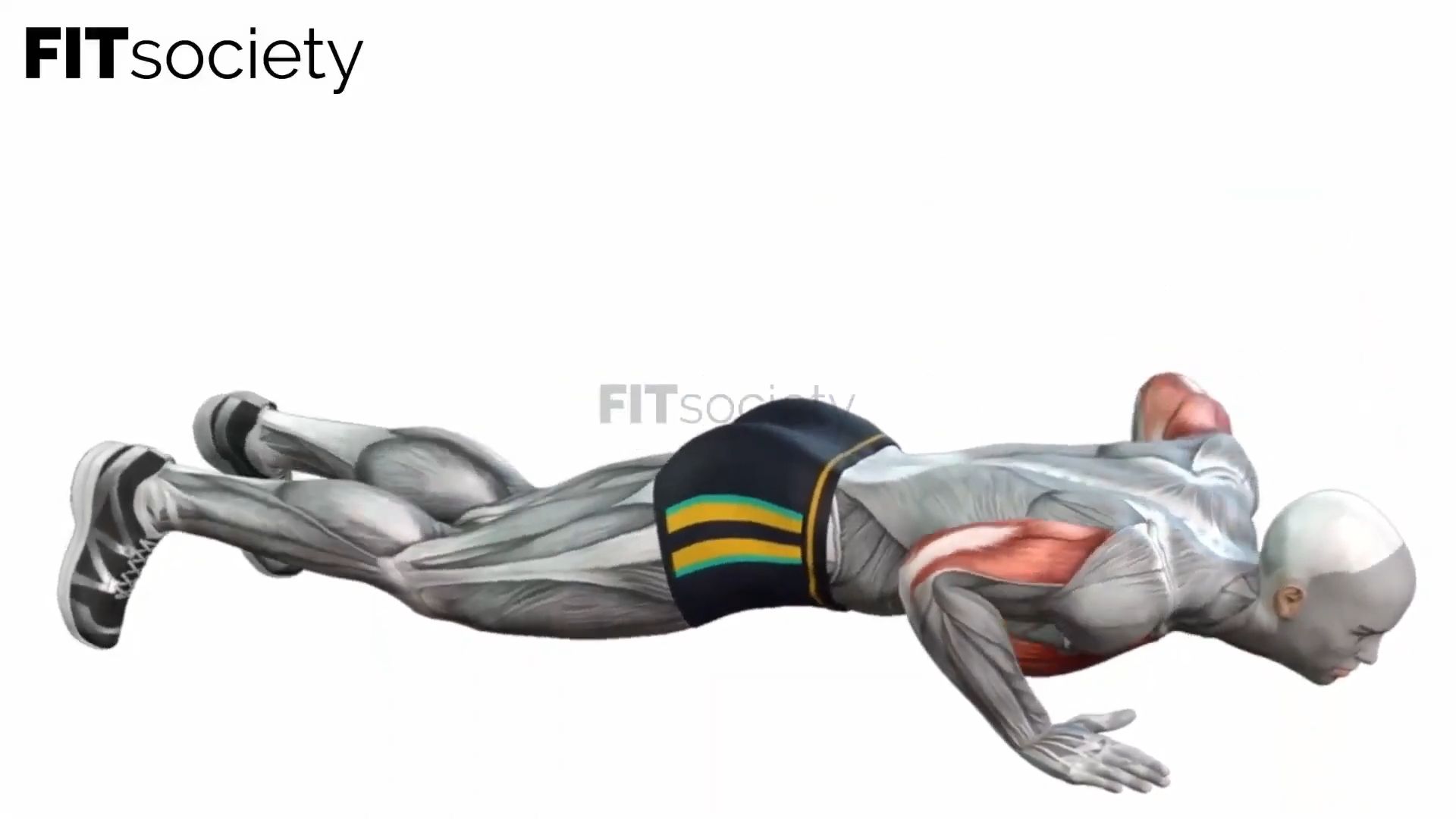 Push-Ups (Bodyweight)
