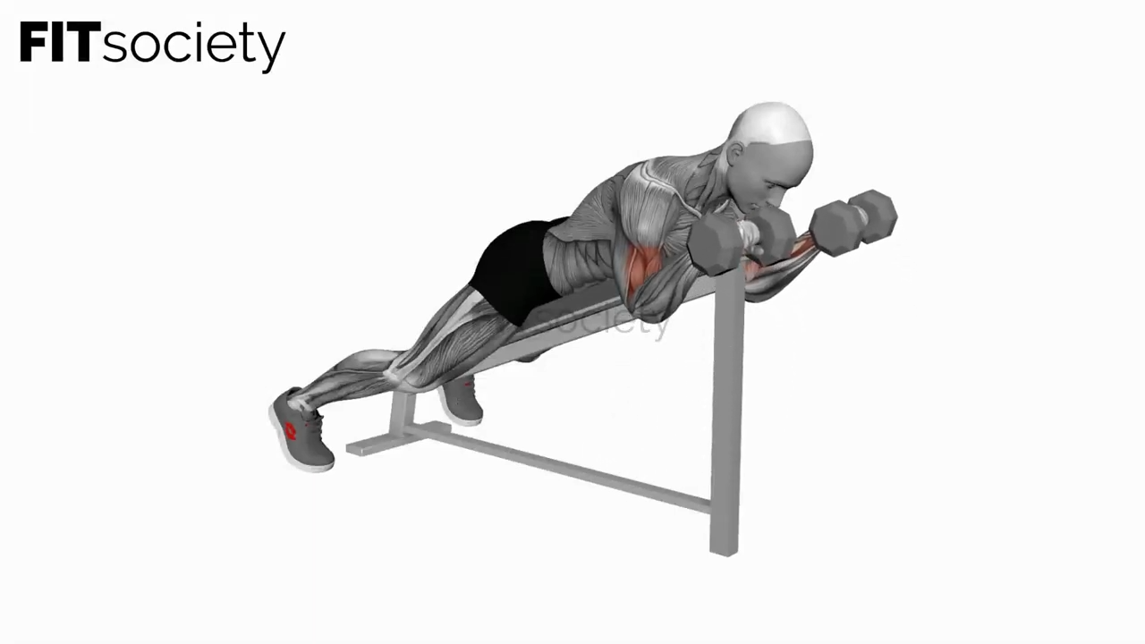 Dumbbell Reverse Spider Curl