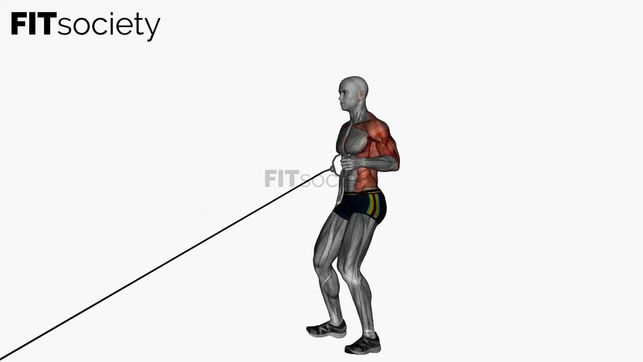 Single Arm Standing Low Cable Row