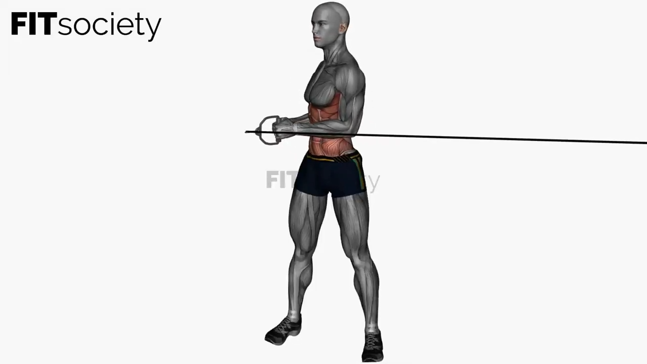 Standing Cable Oblique Twist