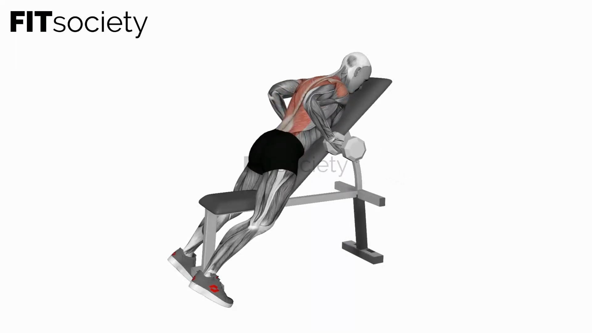 Dumbbell Lying Rear Delt Row