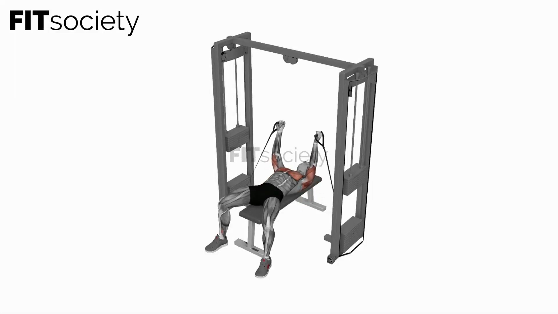 Cable Bench Fly Press