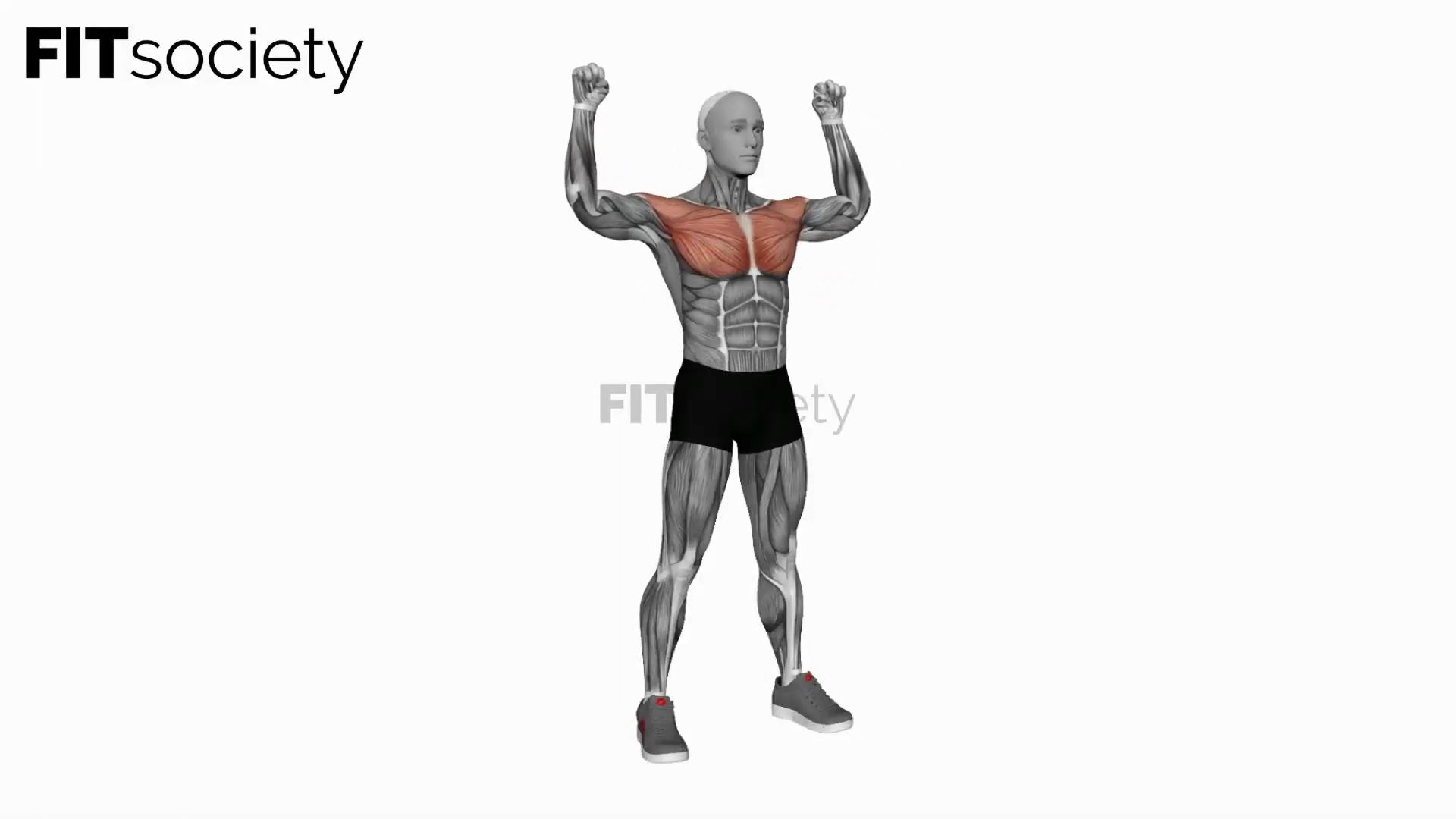 Chest Raise And Rotate