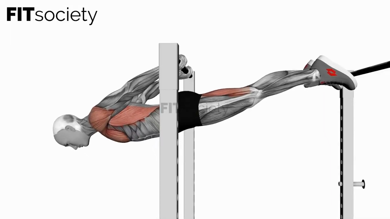 Back Lever
