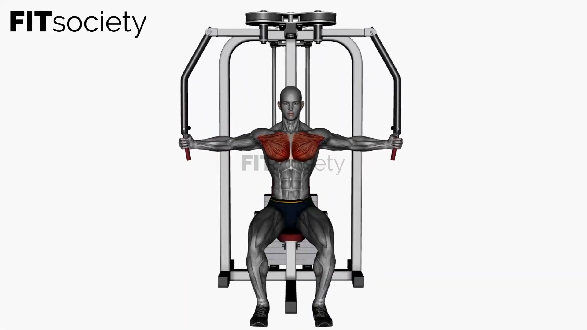 Machine Fly
