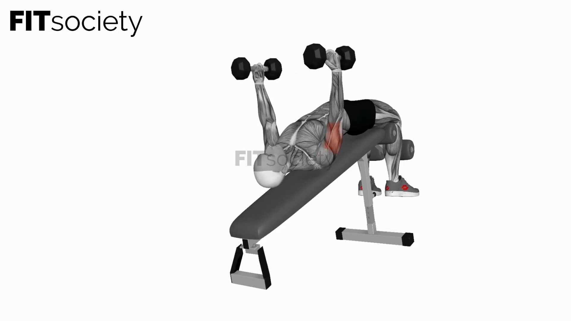 Dumbbell Decline Triceps Pull-Over Extension
