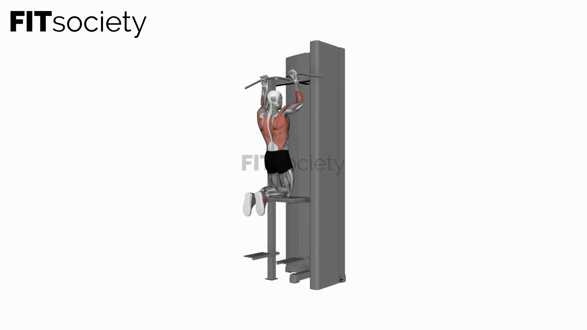 Assisted Parallel Close-Grip Pull-Up