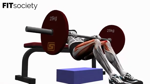 Barbell Hip Thrust