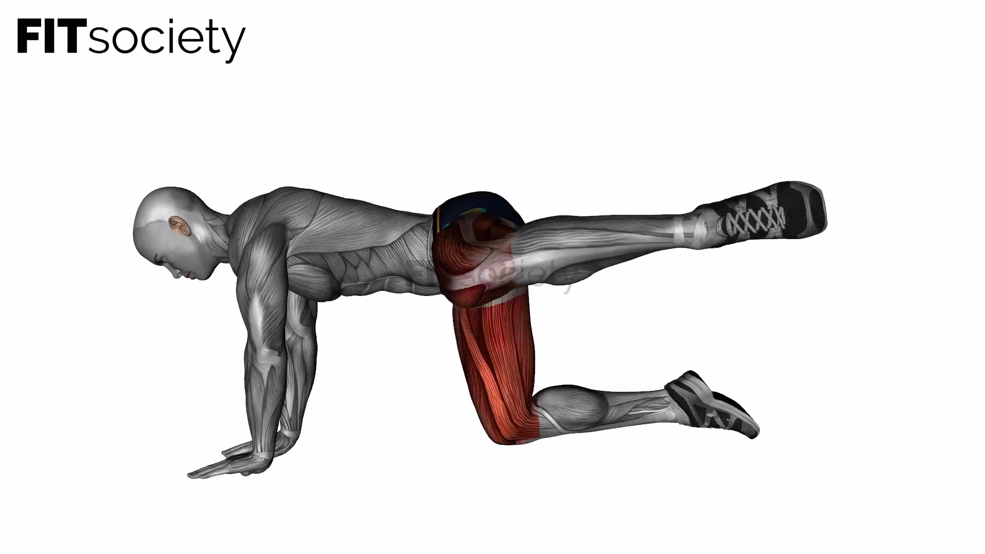 Fire Hydrant Bodyweight