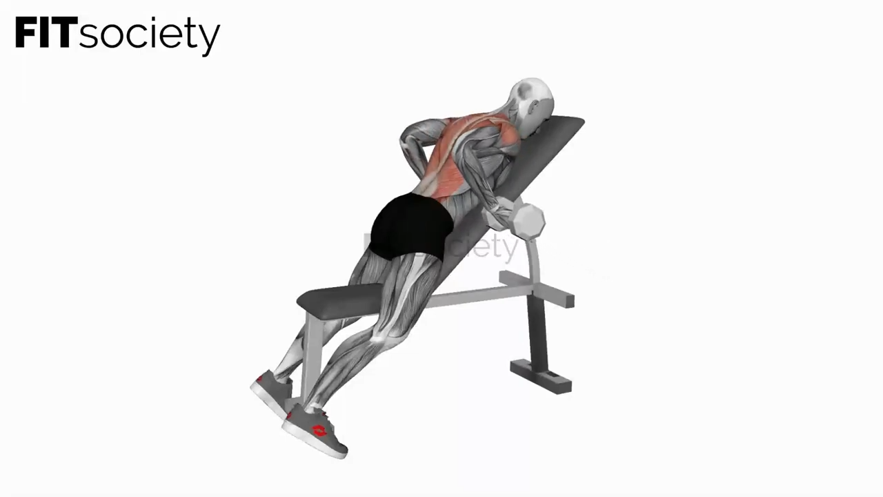 Dumbbell Lying Rear Delt Row
