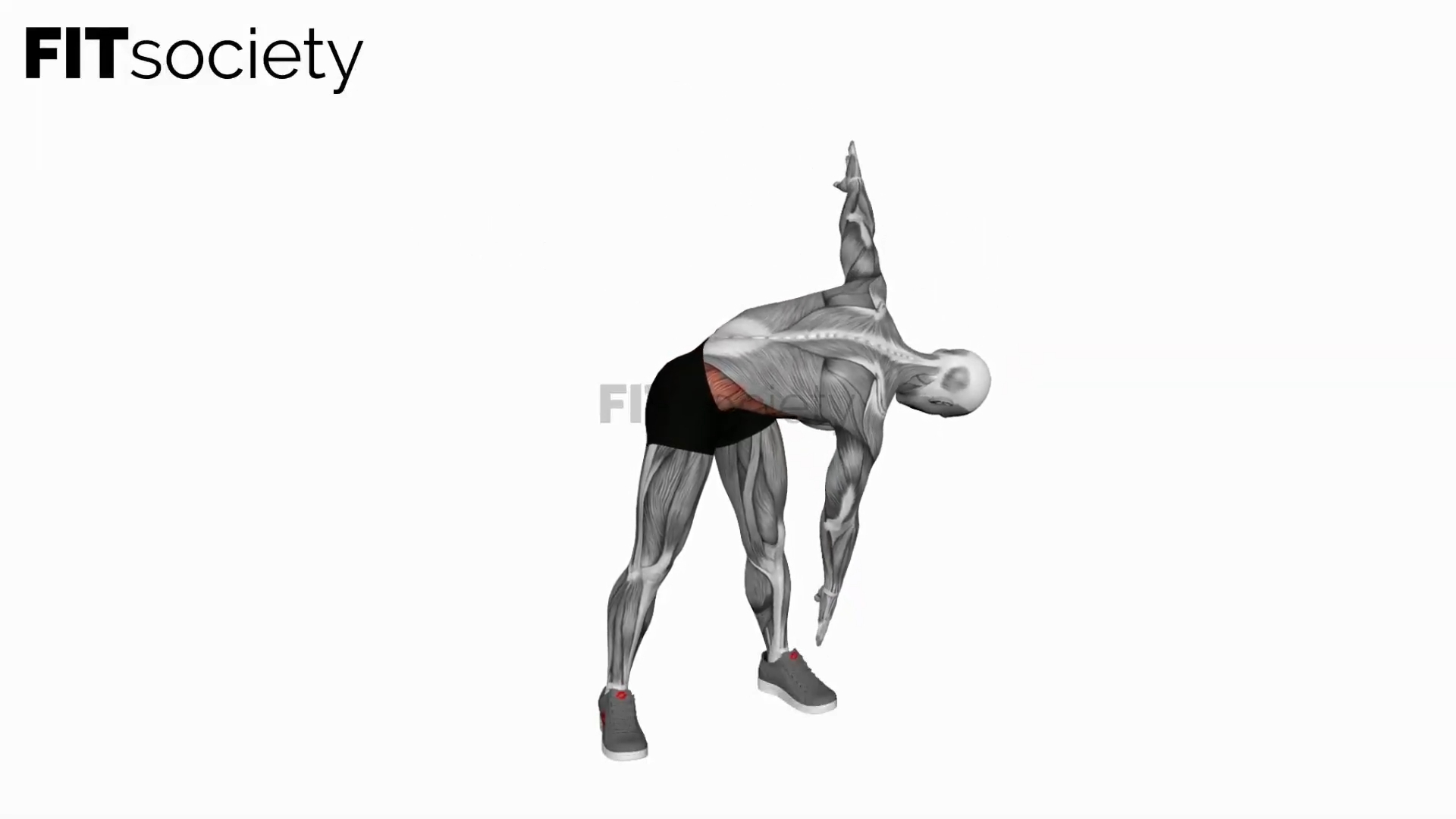 Bodyweight Windmill