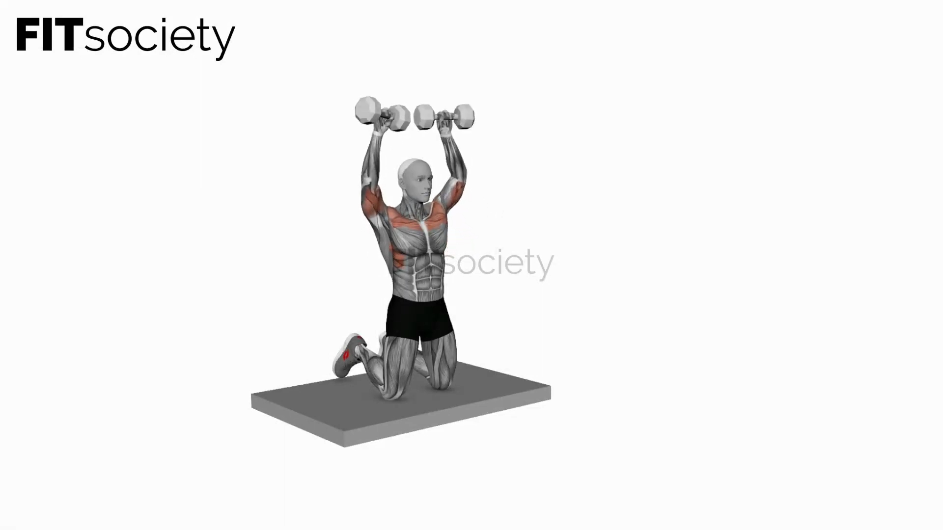 Dumbbell Kneeling Arnold Press