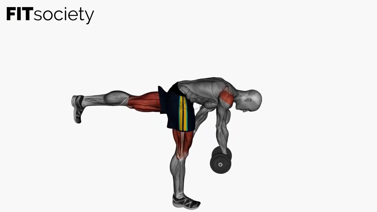 Single Leg Romanian Deadlift Dumbbell