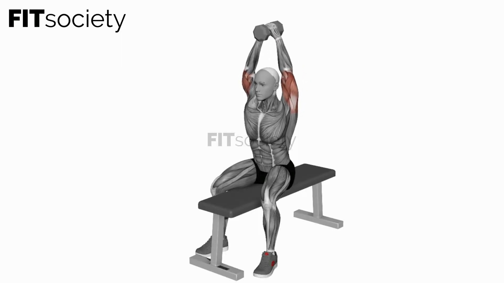 Dumbbell Seated Bench Extension