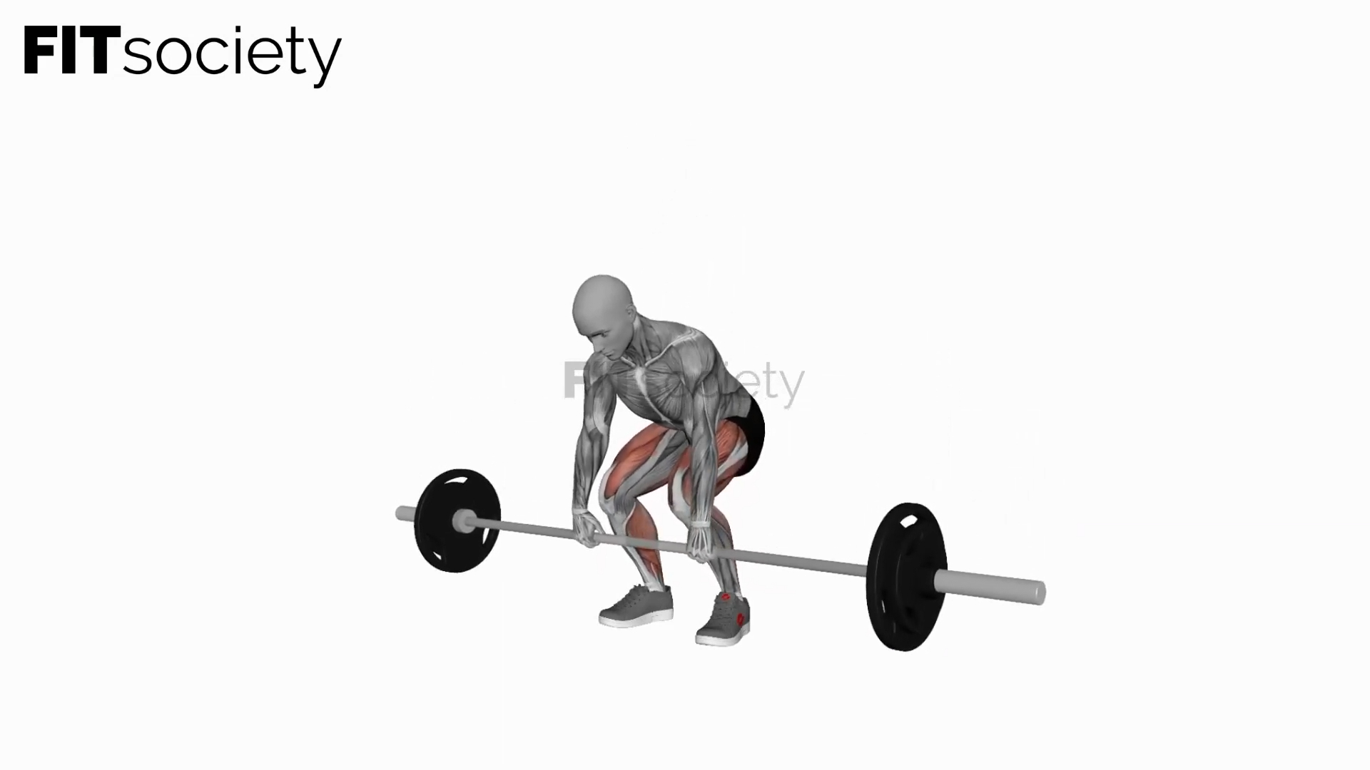 Barbell Deadlift