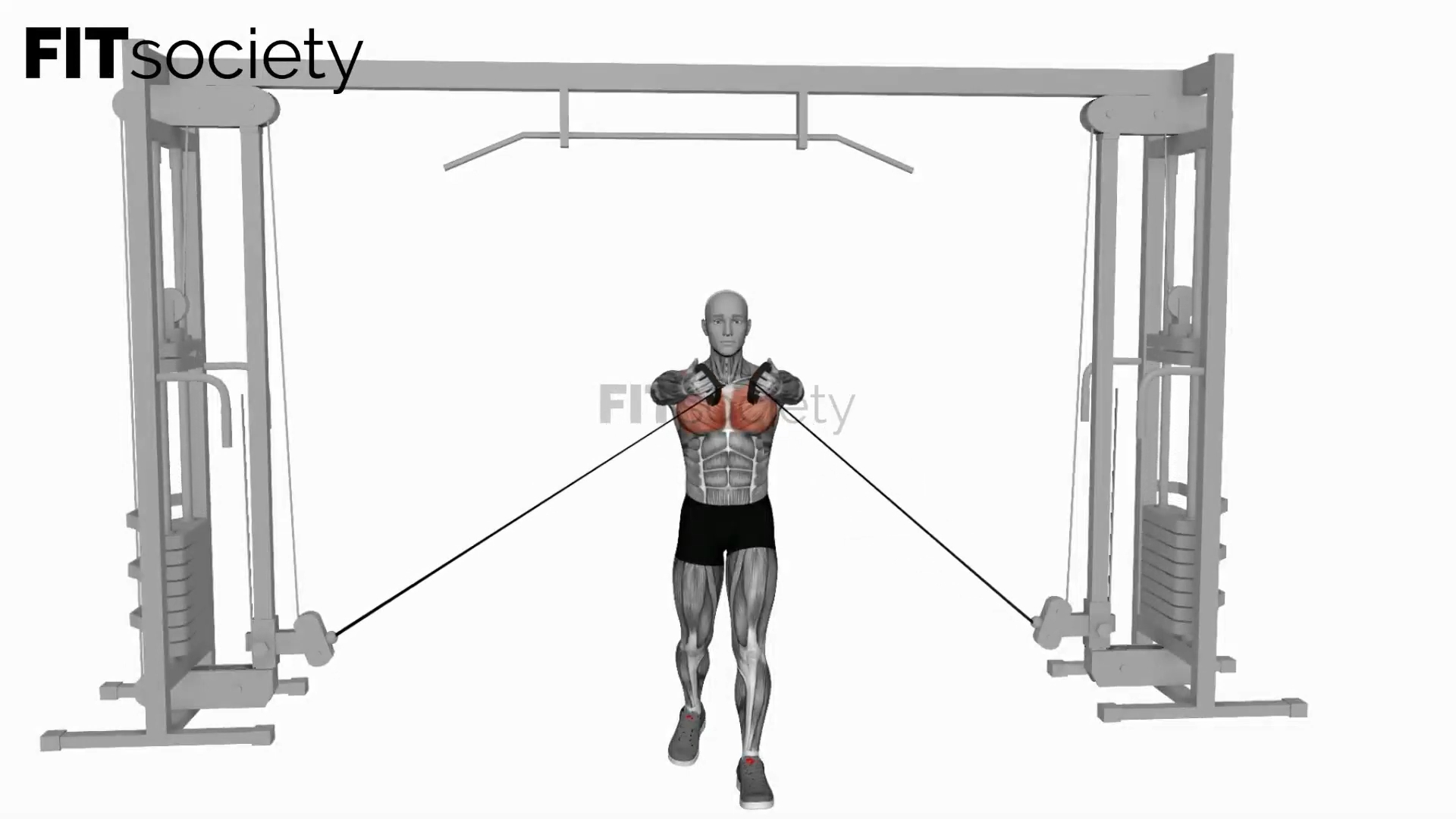 Cable Low Fly