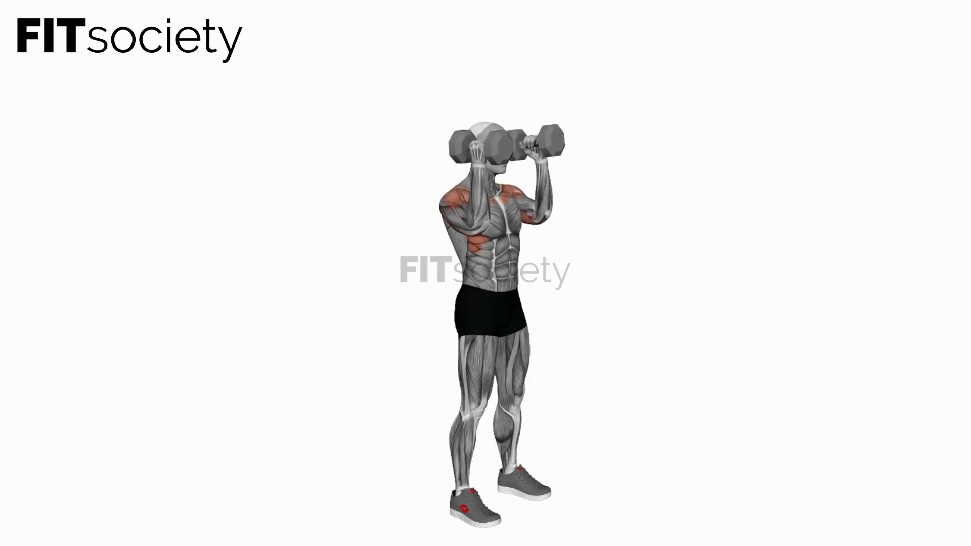 Dumbbell Standing Palms In Press