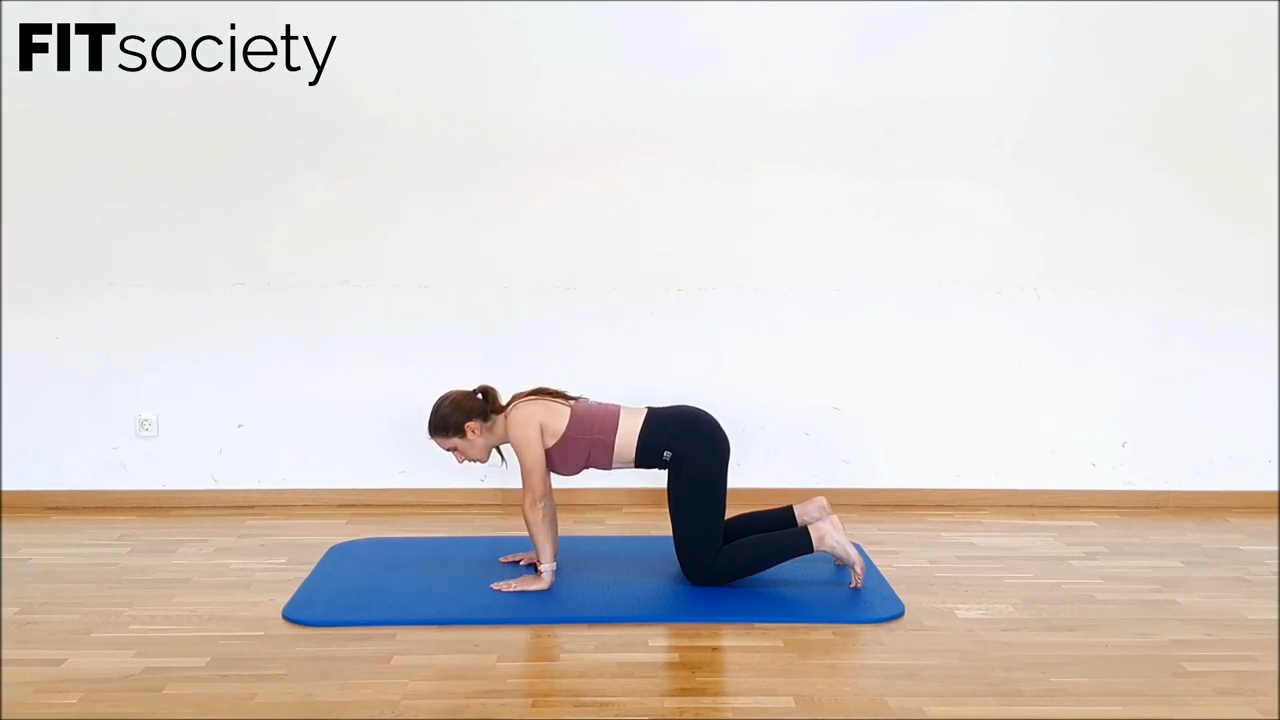 Quadruped Scapula Retraction And Protraction