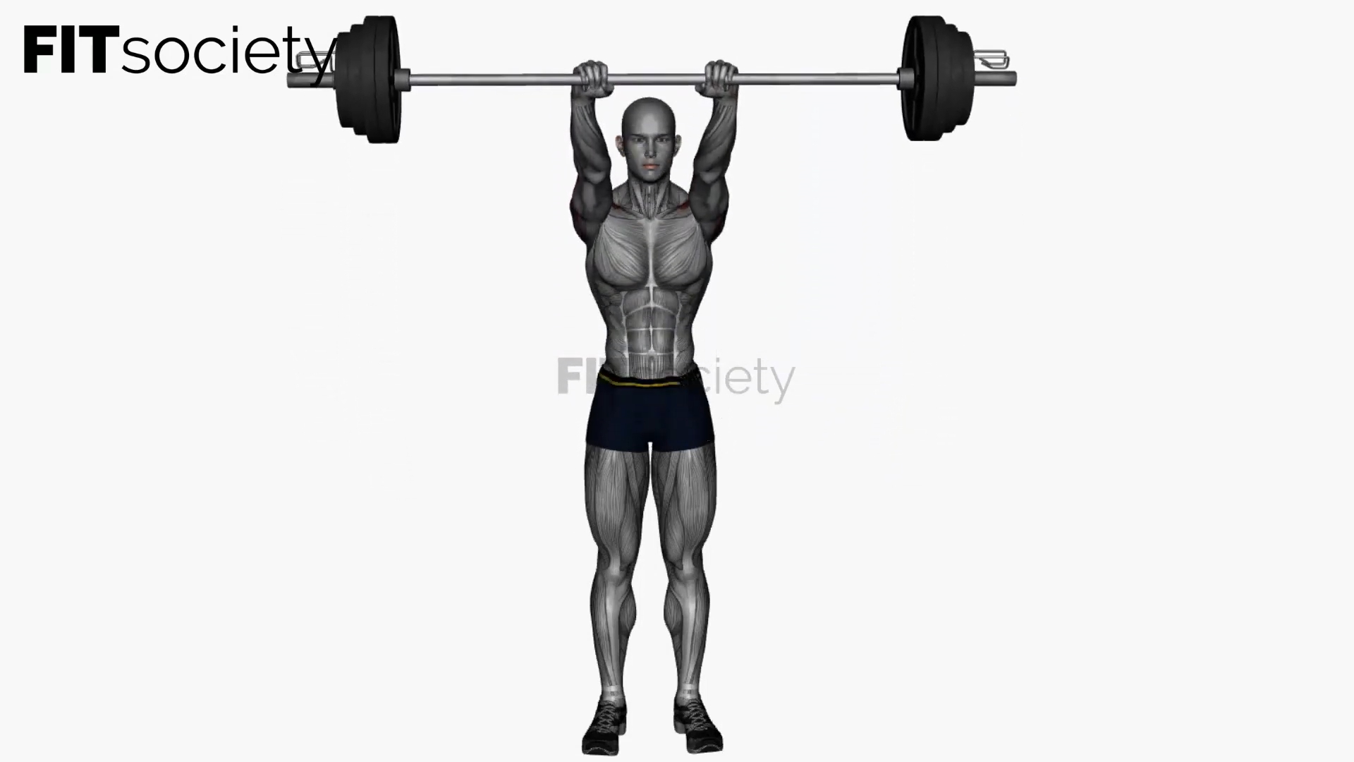 Front Raises Barbell