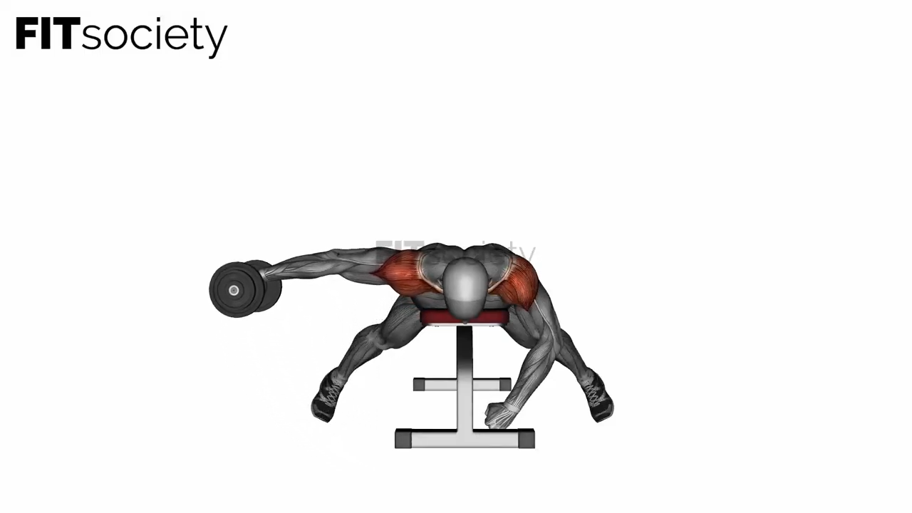 Lying Single Arm Reverse Dumbbell Fly
