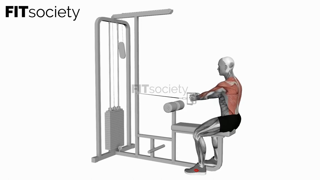 Cable Seated Row with V-Bar