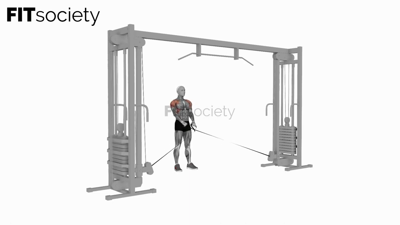 Cable Y Raise