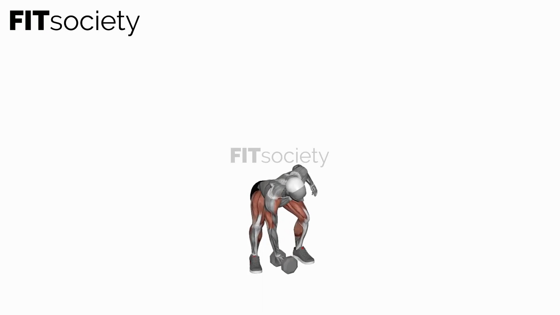 Dumbbell One-Arm Snatch