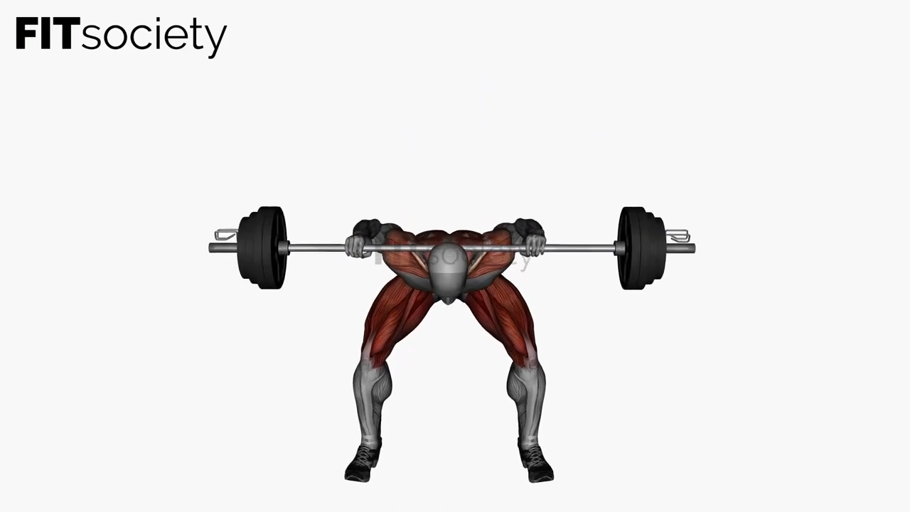 Good Mornings Barbell