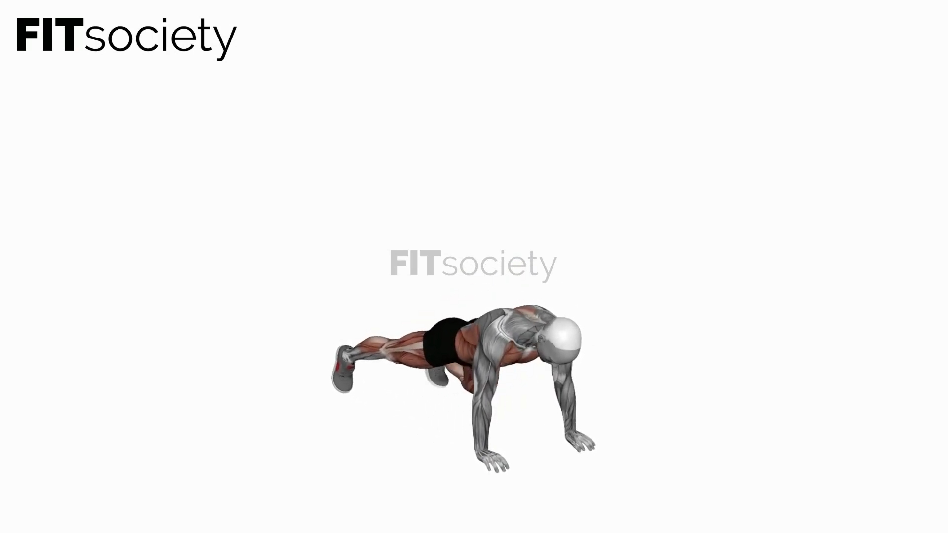 Burpee Squat