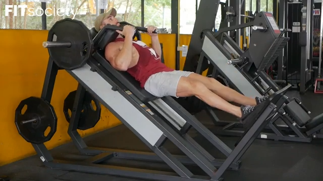 Hack Squat