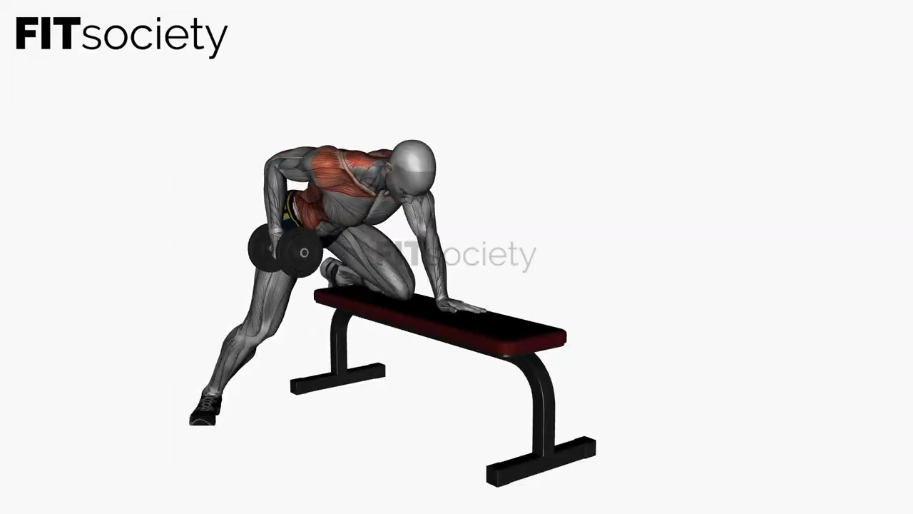 Single-Arm Dumbbell Row