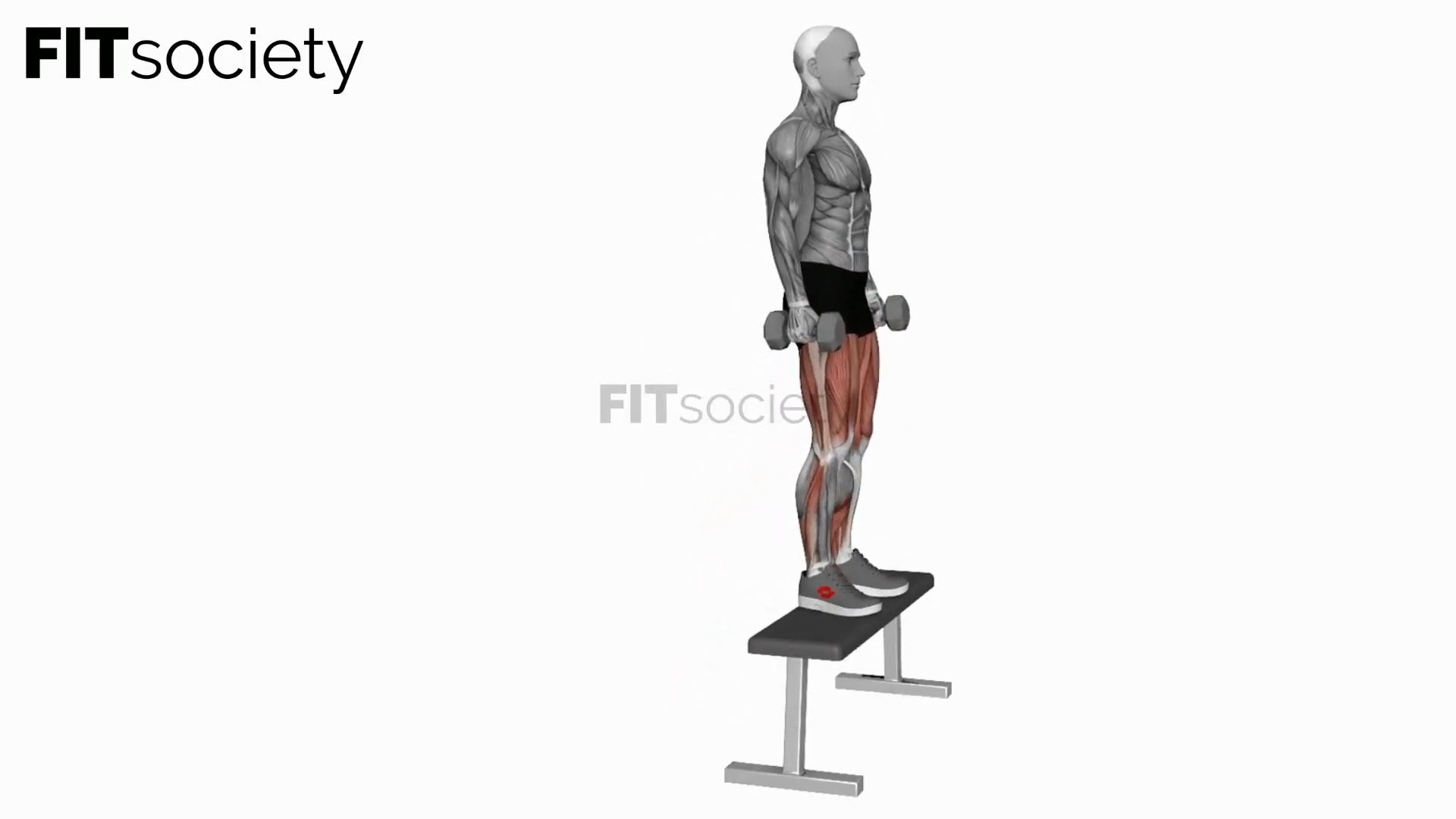 Dumbbell Step-Up