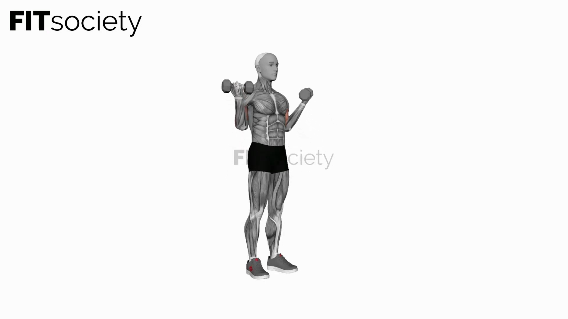 Dumbbell Standing Wide Simultaneous Biceps Curl