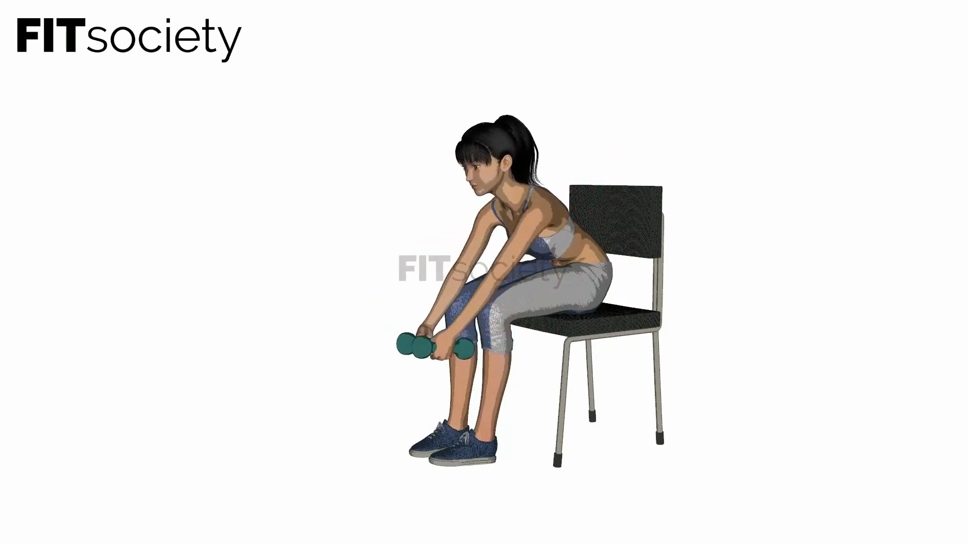 Seated Lateral Raises