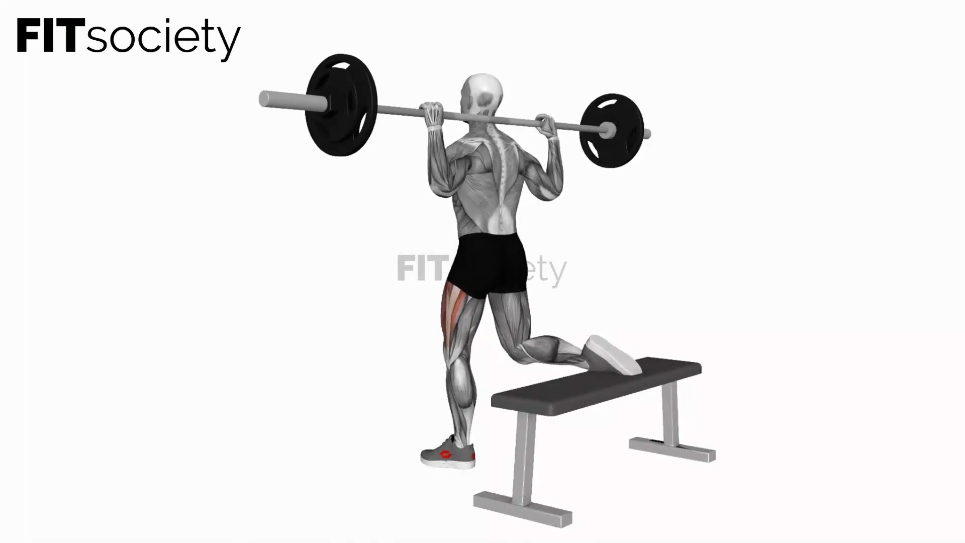 Barbell Bulgarian Split Squat