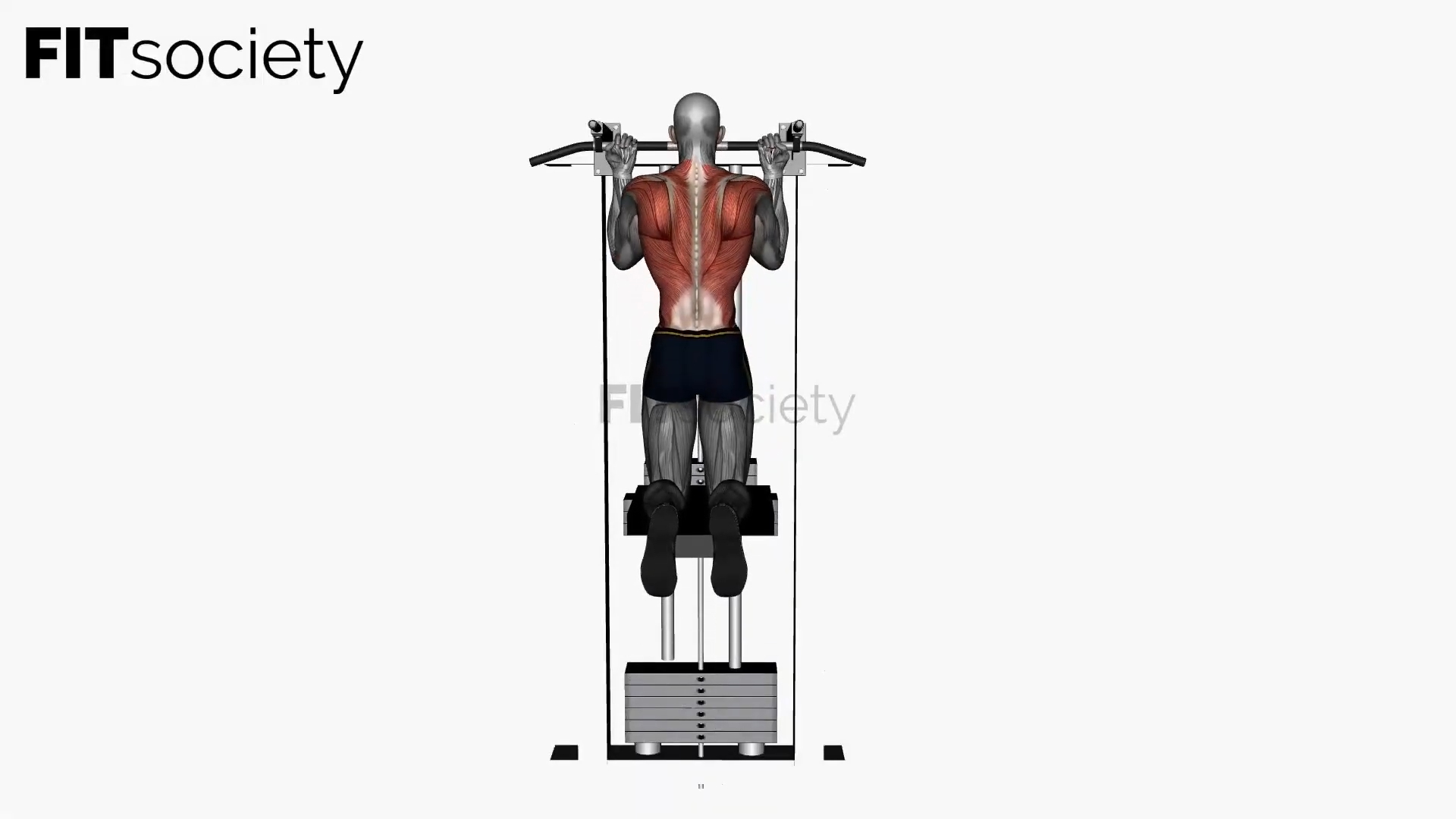 Assisted Chin-Up Reverse Wide Grip