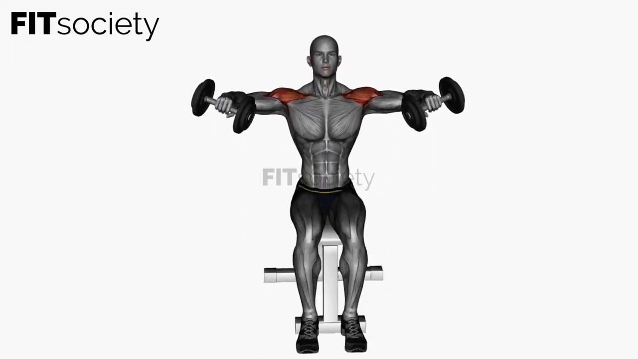 Lateral Raises Dumbbell Seated With Swing