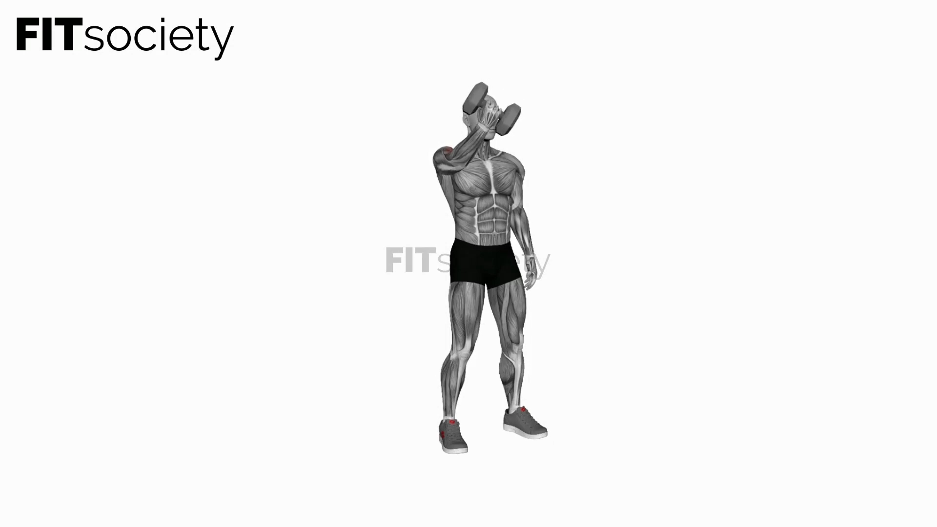 Dumbbell One Arm Low Fly