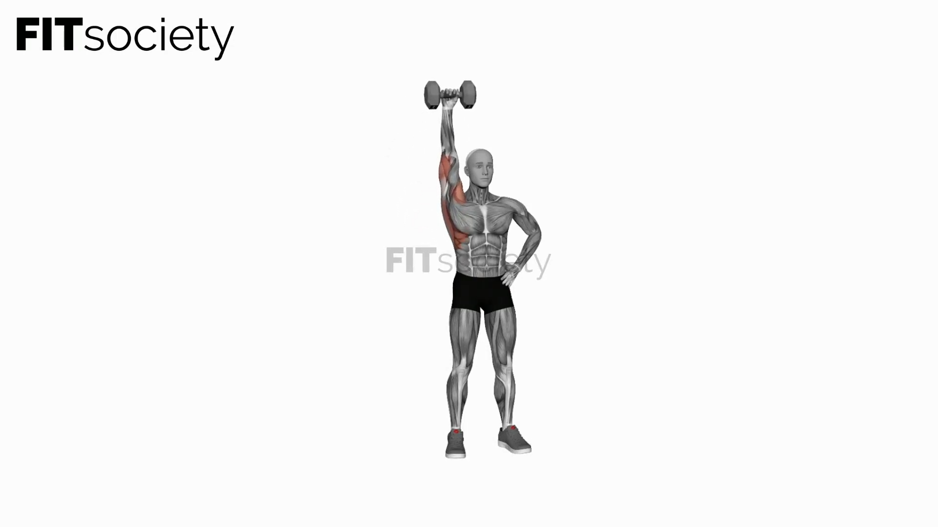Dumbbell One-Arm Shoulder Press (Version 2)