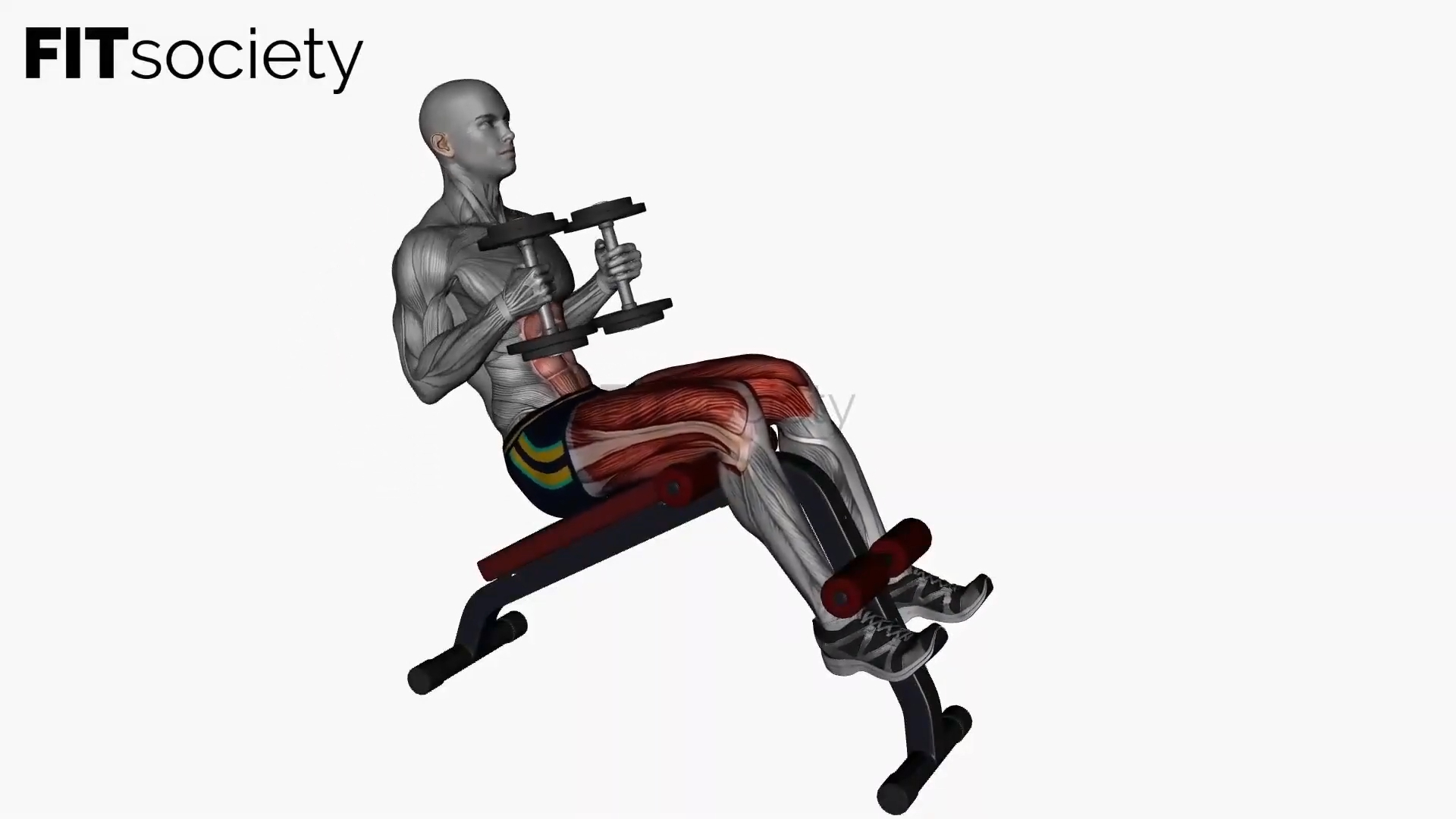 Decline Sit-Ups with Dumbbells