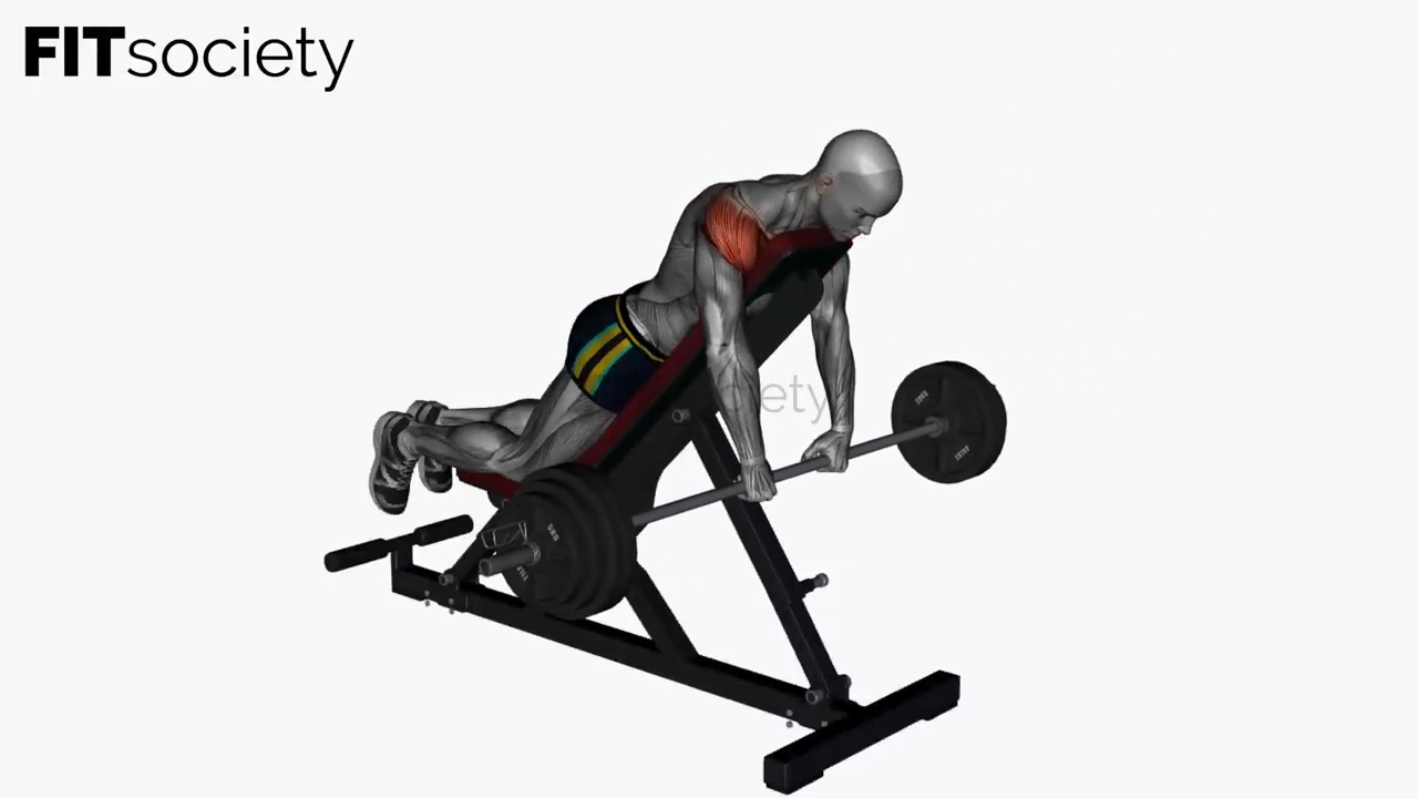 Prone Front Raises Barbell On Bench