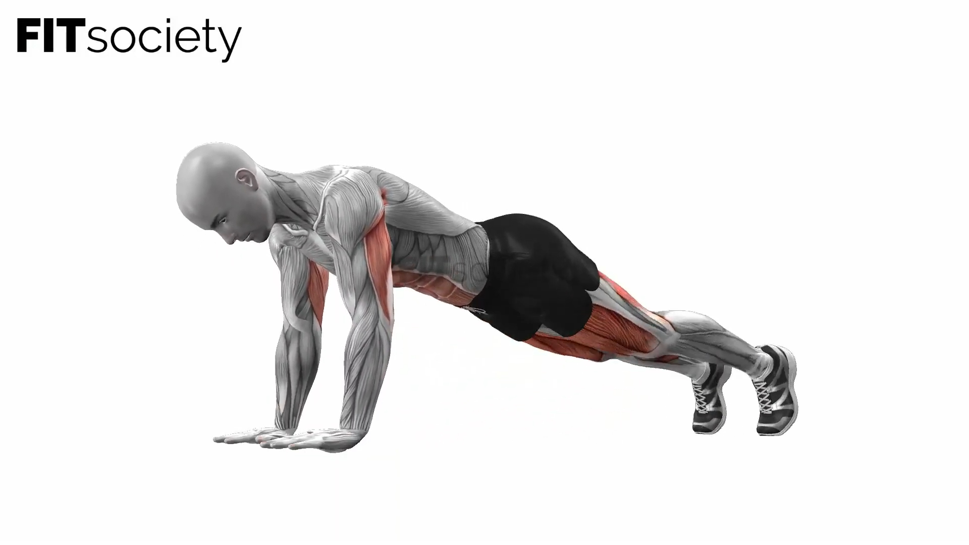 Plank Knee Tucks