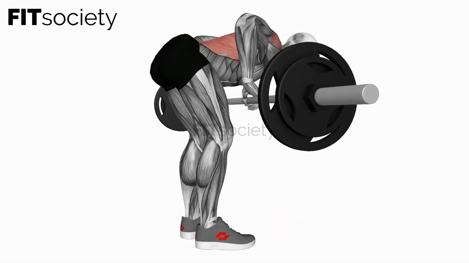 Barbell Push Bent-Over Row
