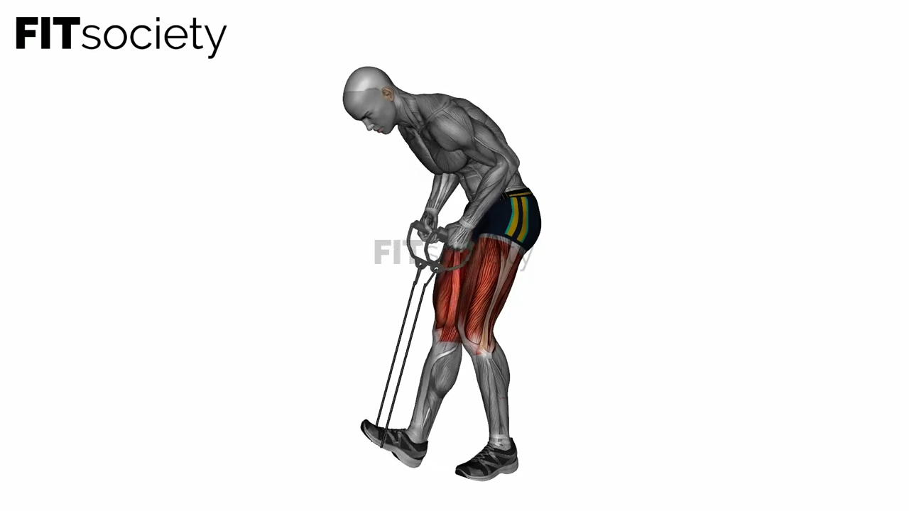 Standing Hamstring Calf Stretch With Resistance Band