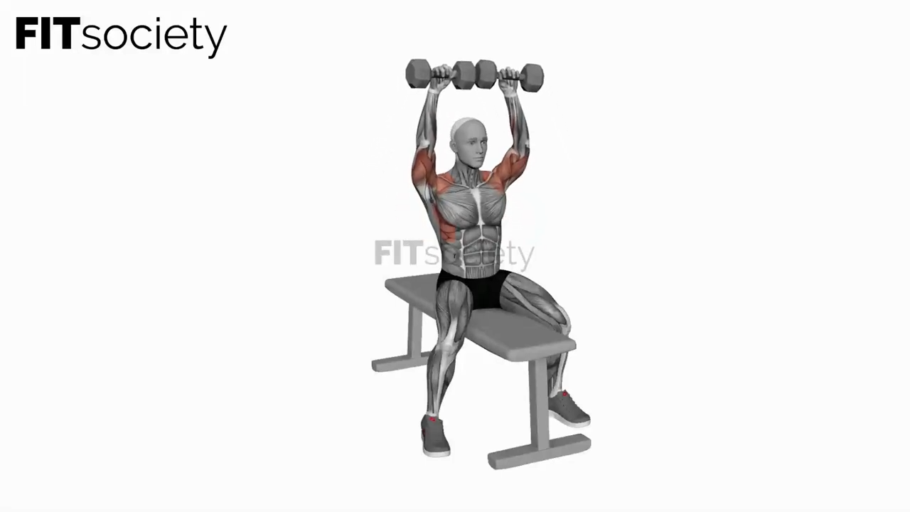 Seated Dumbbell Bench Press